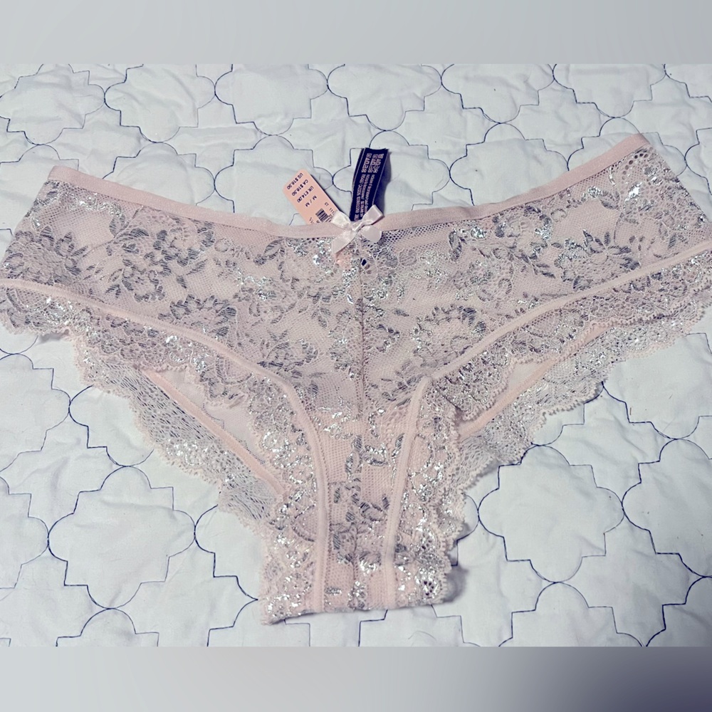 Victoria’s Secret Dream Angels Light Pale Pink Silver Lace Size Medium NWT